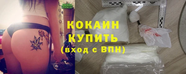прущие грибы Липки