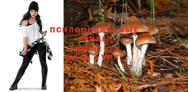 MESCALINE Горняк
