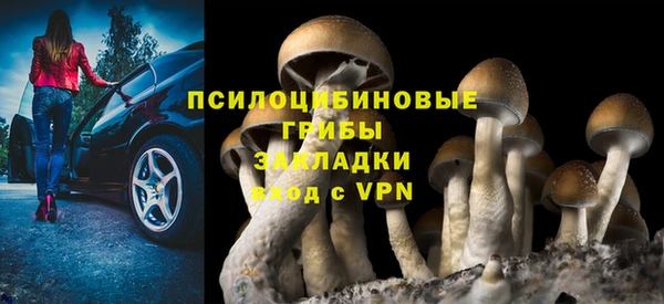 прущие грибы Липки