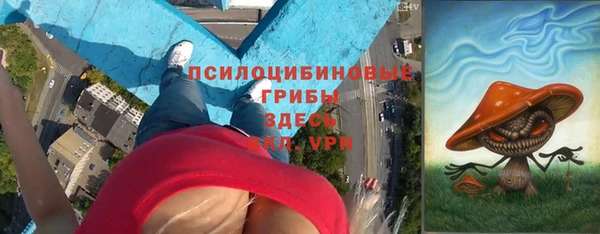 PSILOCYBIN Братск