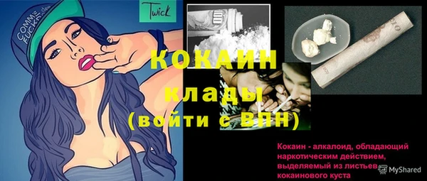 прущие грибы Липки