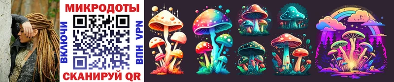 как найти наркотики Дзержинский Псилоцибиновые грибы Psilocybine cubensis