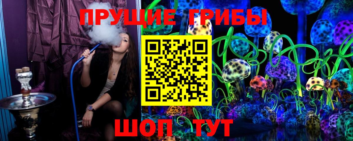 Галлюциногенные грибы Psilocybine cubensis Дзержинский
