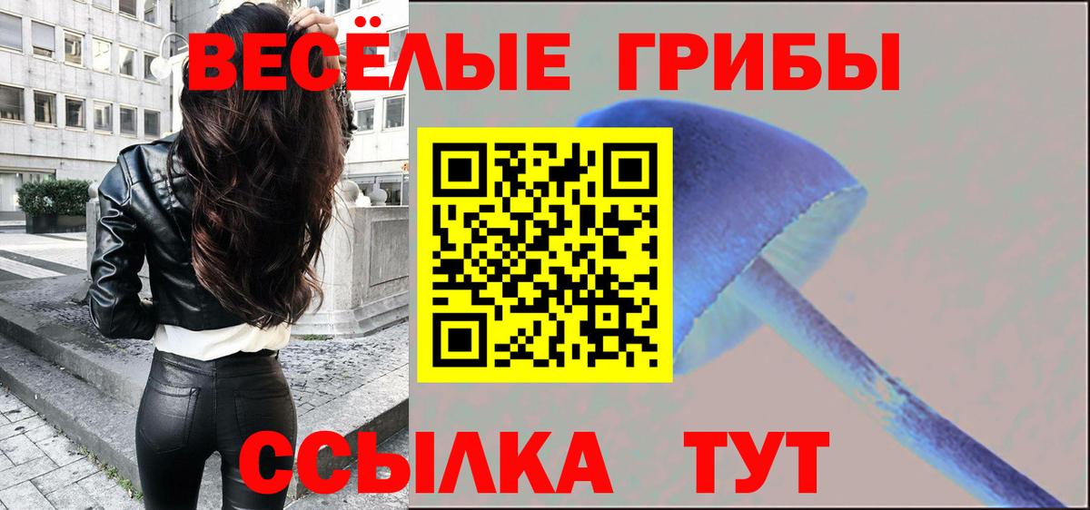 АМФЕТАМИН кристаллы  ГАШИШ  Вход с VPN  МЕФ кристаллы  Дзержинский  Сколько стоит  ГАШИШ  Марихуана  LSD-25  COCAIN  ЭКСТАЗИ 