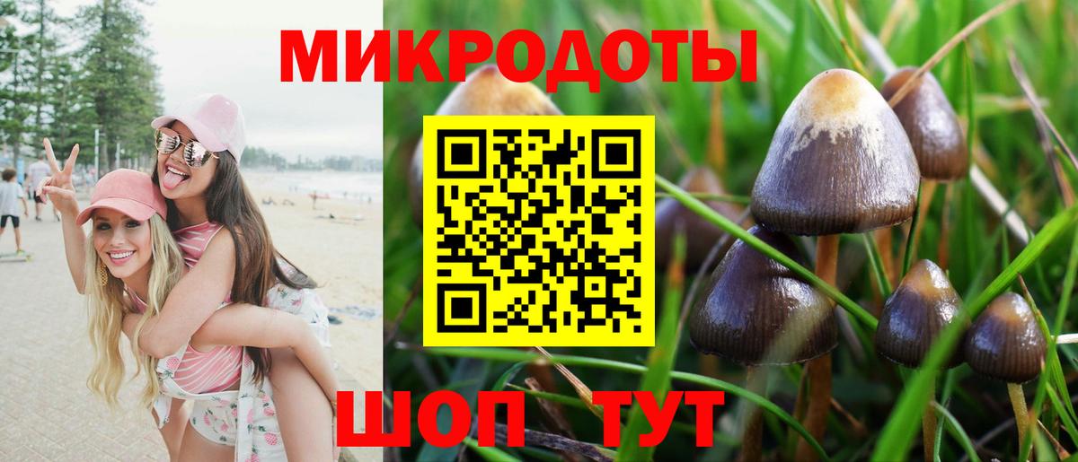 Дзержинский  Галлюциногенные грибы Psilocybe  Вход с VPN 
